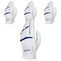카시야골프 남성용 반양피 콤비 골프장갑 10p, WHITE + BLUE