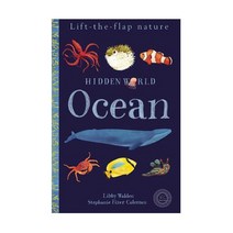 Hidden World: Ocean, Little Tiger Press Group