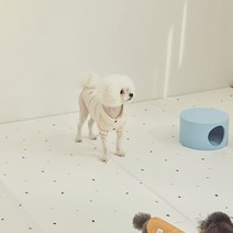눈독들이다 반려동물 매트 4p, 젤리빈