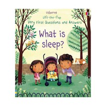 Very First Lift-the-Flap Questions & Answers : What is Sleep?, Usborne