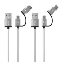 디지지 C타입 5핀 USB 2in1 고속 충전 케이블 100cm, 실버, 2개