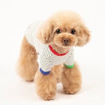펫츠랜드 배색 단가라 반려동물 티셔츠, 화이트