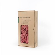 스칸디아모스 이끼 RM500 핑크 500g, 1개
