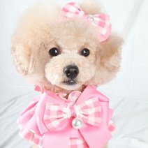 팝앤퍼피 강아지 블랑베리 케이프 M, 핑크, 1개