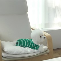 매그독 강아지 볼드 올인원, GREEN
