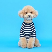 플로트 스탠다드 강아지 골지 티셔츠, 네이비