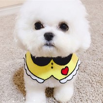 알알 강아지 고양이 편안한 케이프 스카프 M, 개린이, 1개