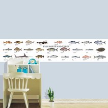 유니크만능시트벽지 색칠 낙서 그림 스티커, 바다속물고기(화이트)