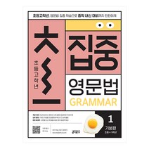 초집중 초등 고학년 집중 영문법 1: 기본편:초등 고학년 영문법 집중 학습으로 중학 내신 대비까지 탄탄하게, 키출판사
