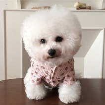 바이담수미 강아지 꽃와플 가디건, 핑크