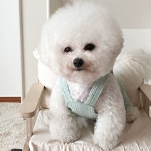 강아지 글렌멜빵 바지, 민트