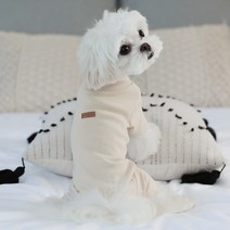 파스텔독 강아지 러브아이 골덴 올인원, 베이지