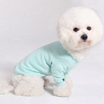 바이담수미 강아지 베이직 티셔츠, 민트