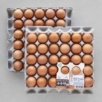 탱탱한훈제달걀 특가정보