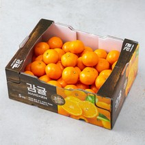 귤탐 고당도 감귤 로열과, 5kg(S~M), 1박스