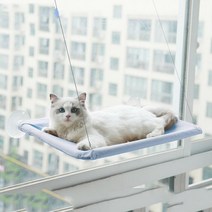 키밍 윈도우 흡착판 고양이 해먹, 블루