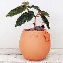 마마스스튜디오 에그팟 수제 토분, 오리지널