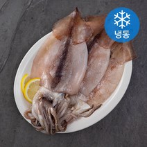 올바른수산 국산 손질 오징어 특대 (냉동), 1kg(5~7미), 1개