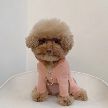 베이비도그 동글고리올인원 DA017, 핑크