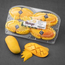 더달 알록달록 태국산 마하차녹망고, 1.12kg(4입), 1팩