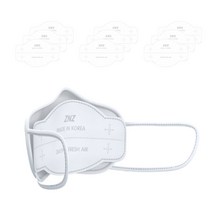 데이픽 프래쉬에어 리필 마스크 필터, 1개, 10개입