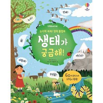 Usborne 논리력 쑥쑥! 영재 플랩북: 생태가 궁금해!, 케이티 데이니스, 어스본코리아