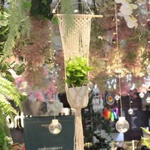 더홈스 플랜트 마크라메 월행잉 바스켓 MS7225, 혼합색상