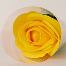 아스파시아 퍼퓸 로즈 한송이 비누꽃 10p, 옐로우