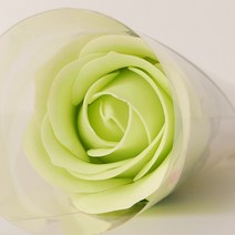 아스파시아 퍼퓸 로즈 한송이 비누꽃 10p, 연두