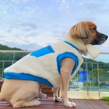 도기스타 중형견 대형견 겨울옷 두툼 강아지후리스 목도리 셋트, 블루포켓