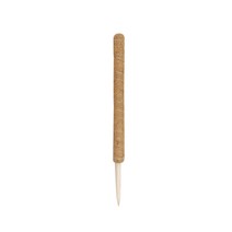 곰팡이 걱정없는 식물지지대 코코봉 수태봉 홈가드닝 60 cm 우드타입/일반, 1개