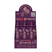 풀무원건강생활 엘더베리진 9p, 1개, 450ml