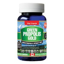 통라이프 그린 프로폴리스골드 30g, 60정, 1개