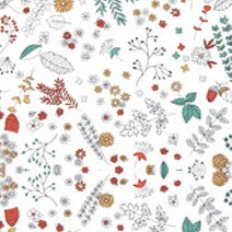 Moc 40수 모달 코튼 원단, No 2538 화이트