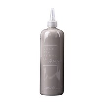 다루미 압출 아크릴 물감 그레이 L, 1색, 500ml