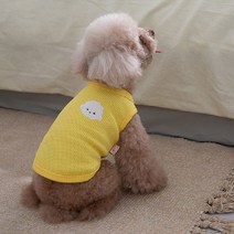 반려동물 흰둥이 와플 나시티, 옐로우