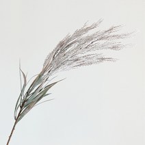 도시정원 조화 밀가지, 베이지