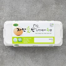 자연애찬 무항생제 인증 자연애란 1+등급 특란 10구, 1개, 600g