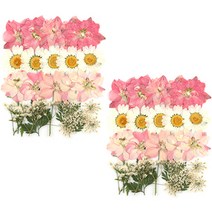 프레스코21 압화 종합팩, K108, 2개