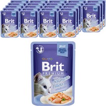 브리트 캣 프리미엄 파우치 습식사료 젤리 연어, 85g, 24개