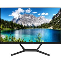 뷰라이프 올인원 일체형 PC 블랙 AP-D238-N5 (셀러론-N5095 61cm WIN11 Pro RAM 8GB SSD 120GB), 기본형