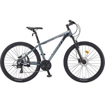 스마트자전거 테트라 300 MTB 자전거 17 무광, 175cm, 블랙실버