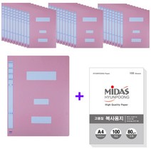 현풍 대용량 지네발 정보화일 A4 30p + 복사지 80g 100매 세트, 분홍색(정부파일), 1세트