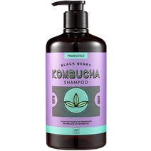 미쟝센 콤부차 샴푸 블랙베리향, 820ml, 1개
