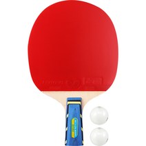 버터플라이 중국식 펜홀더 탁구 라켓 BTY CS 2000