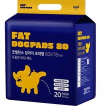 굿밸런스 강아지 초대형 두툼한 80G패드, 20매입, 1개