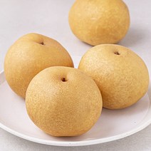 좋은하루 산지직송 해남 창조 배 4~5입, 1.8kg, 1개