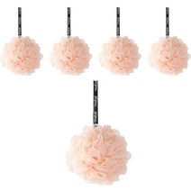 라이브잇 컬러 고급 샤워볼, 5개, 1 핑크