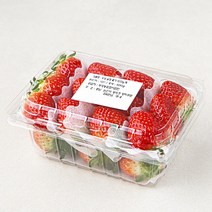 부성 설향 딸기, 500g, 1팩