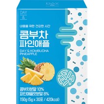 데이앤 콤부차 파인애플 30p, 5g, 30개입, 1개